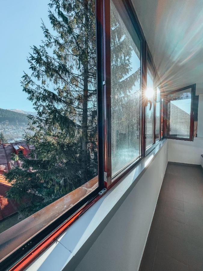 Sebiana Buşteni Exterior foto